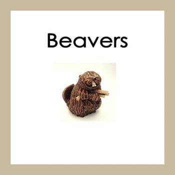 Beavers