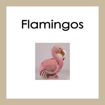 Flamingos