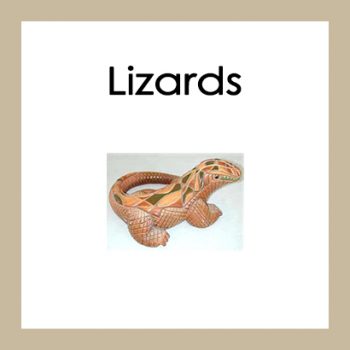 Lizards