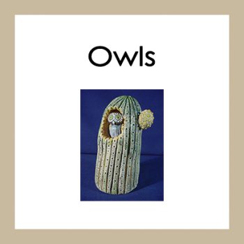 Owls