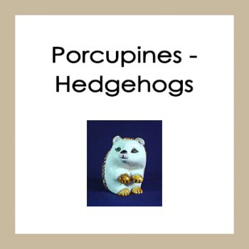 Porcupines - Hedgehogs