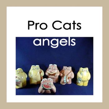 Pro cats angels