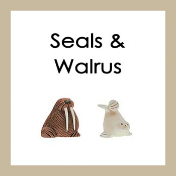 Seals & Walrus