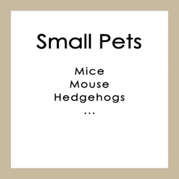 Small Pets