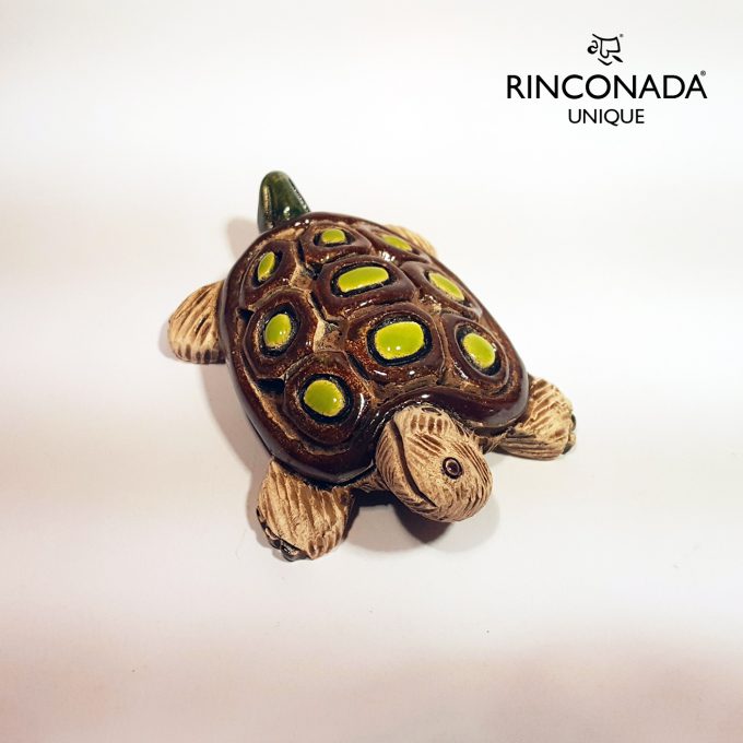 Rinconada Baby Turtle aR#69 cv5_