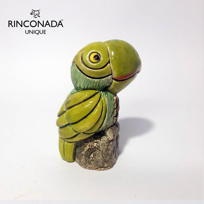 Rinconada Parrot #18C - V3