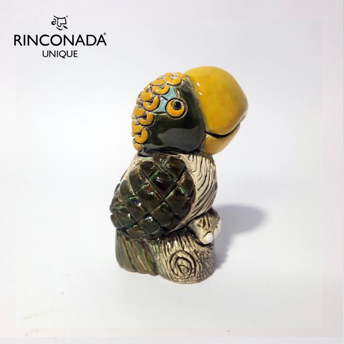 Rinconada Parrot #18C - V4
